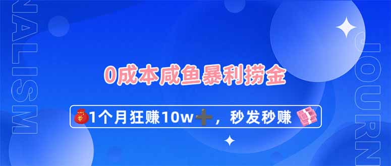 （14257期）0成本闲鱼暴利捞金，1个月狂赚10W+，秒发秒赚新玩法-数梦链网络