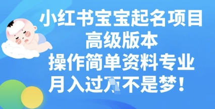 小红书宝宝起名项目高级版本，操作简单，资料专业，月入过W-数梦链网络