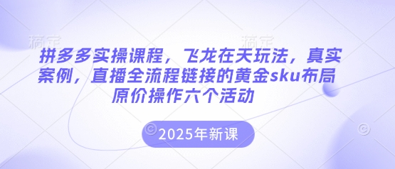 拼多多实操课程，飞龙在天玩法，真实案例，直播全流程链接的黄金sku布局原价操作六个活动-数梦链网络