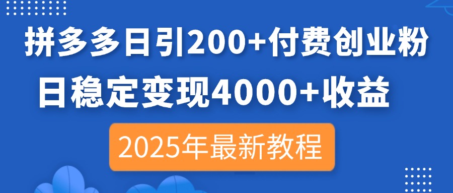 （14217期）拼多多日引200+付费创业粉，日稳定变现4000+收益，2025年最新教程-数梦链网络