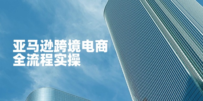 （14252期）亚马逊跨境电商全流程实操，教你从零开始，掌握店铺运营与广告技巧-数梦链网络