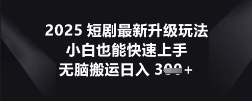 2025短剧最新升级玩法，小白也能快速上手，无脑搬运日入3张-数梦链网络