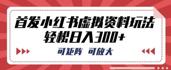 首发小红书虚拟资料玩法，可矩阵，可放大，轻松日入3张-数梦链网络