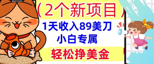 2个新项目，轻松挣美金， 1天收入89美刀，小白专属，干货分享-数梦链网络