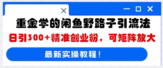 重金学的闲鱼野路子引流法，日引300+精准创业粉，可矩阵放大-数梦链网络