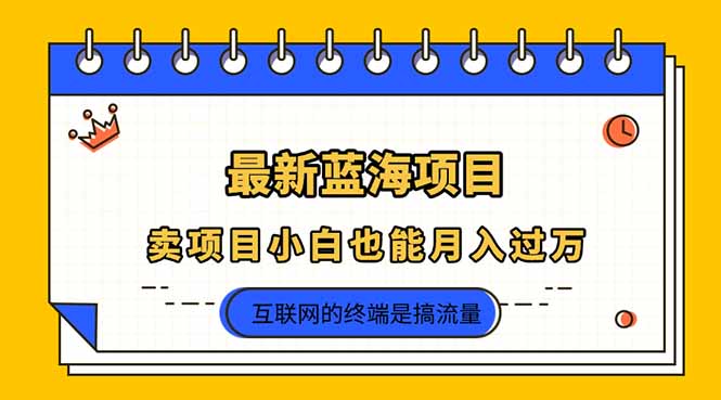 （14289期）2025年最新蓝海项目，卖项目小白也能月入过万-数梦链网络