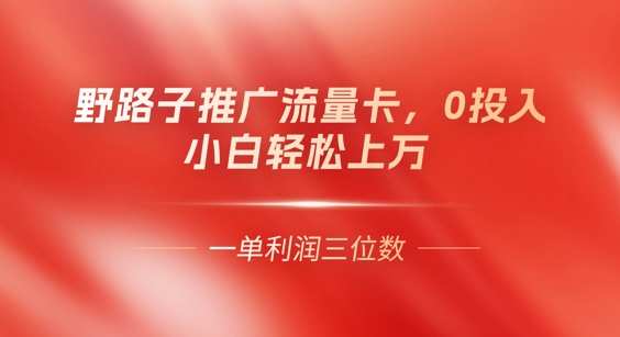 0门槛推广流量卡，一单收益上百，0投入，小白月入过W-数梦链网络