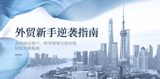 （14201期）外贸新手逆袭指南：高效成交客户，科学规划全球市场，轻松突破瓶颈-数梦链网络