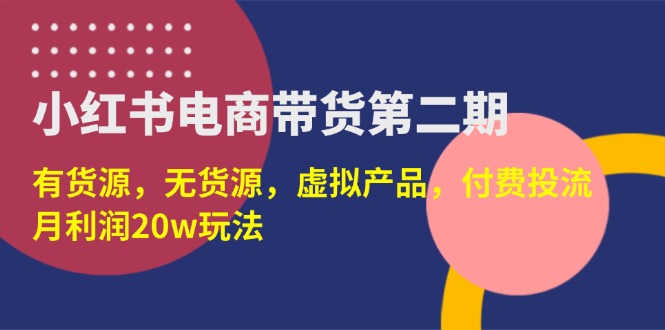 （14186期）小红书电商带货第二期，有货源，无货源，虚拟产品，付费投流，月利润20w-数梦链网络