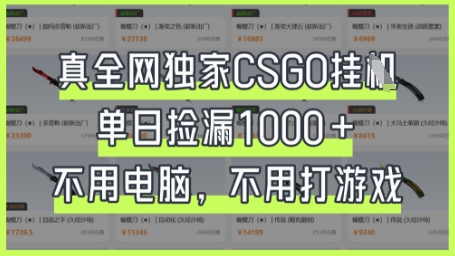 真全网独家CSGO挂G，单日捡漏1k+【揭秘】-数梦链网络