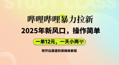 哔哩哔哩暴力拉新：2025年新风口，一单12元，一天数张(附开白渠道和保姆级教程)-数梦链网络