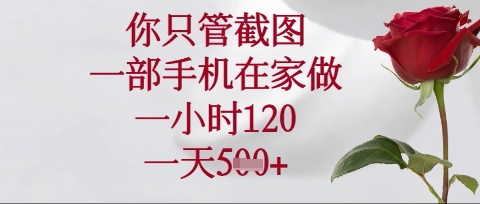 你只管截图，一部手机在家操作，一小时120.一天5张【揭秘】-数梦链网络
