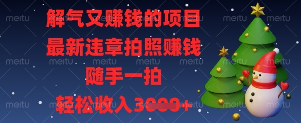 解气又挣钱的项目，最新违章拍照挣钱，随手一拍，轻松收入数张【揭秘】-数梦链网络